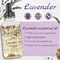 Pemutih Alami Murni Melembabkan dan Mengencangkan Rambut Lavender Minyak Esensial Perawatan Tangan dan Kuku