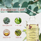 Private Label Eucalyptus Minyak Esensial Rosemary Alami Eucalyptus Lavender Minyak Mawar Pelembab Pijat Wajah Tubuh Rambut